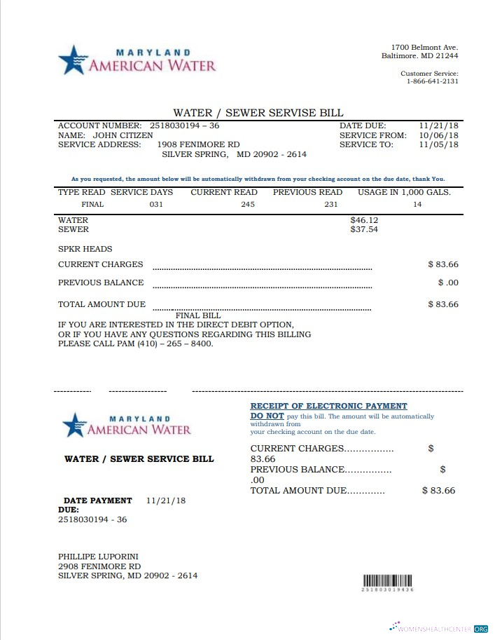 download download USA Maryland American water utility bill template in Word and PDF format PDF template PDF template